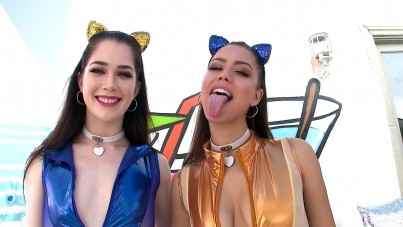 Kitties like whipped cream